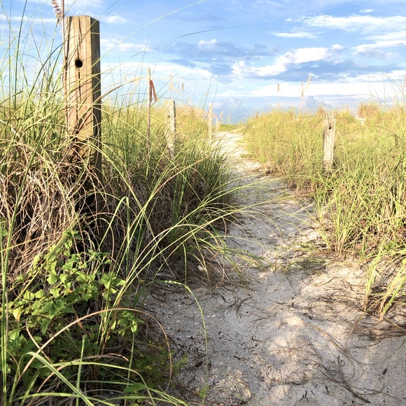 Meet your Posher, Jessica - Picture 1 of 1